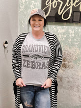 Load image into Gallery viewer, Grandview Zebras